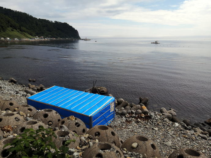 ��������y�����s���z