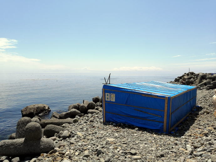 ��������y�����s���z