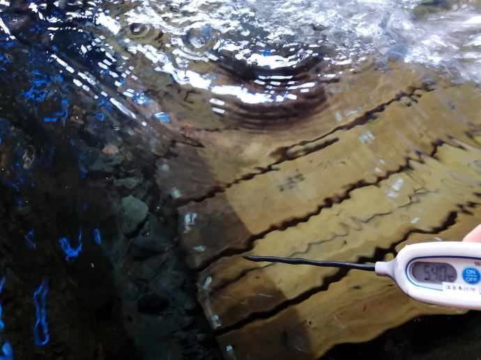 ��������y�����s���z